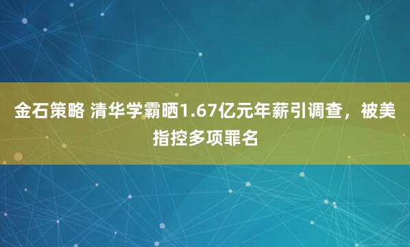 金石策略 清华学霸晒1.67亿元年薪引调查，被美指控多项罪名