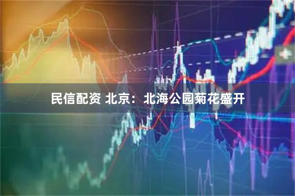 民信配资 北京：北海公园菊花盛开