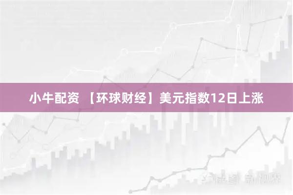 小牛配资 【环球财经】美元指数12日上涨